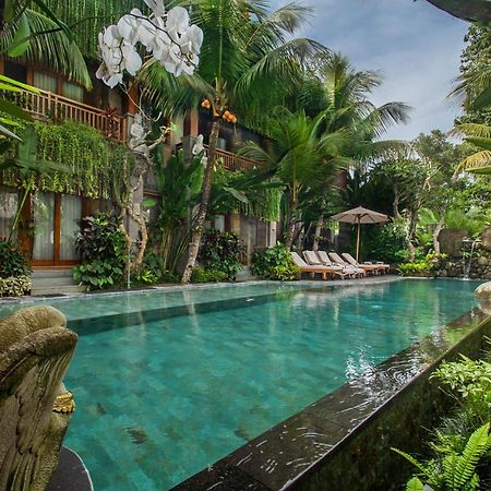 Weda Cita Resort And Spa By Mahaputra Ubud  Luaran gambar The swimming pool at the hotel